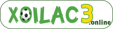 bia heineken